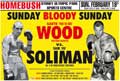soliman_vs_wood_poster_allthebestfights