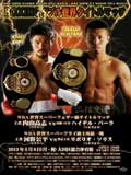 kono-vs-solis-fight-video-2013-poster