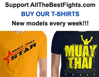 Banner of our t-shirts - AllTheBestFights.com